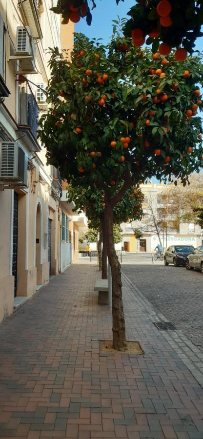 Apartamento Golondrina Córdoba Exterior foto